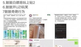 黑料索引,揭开网络谣言背后的真相